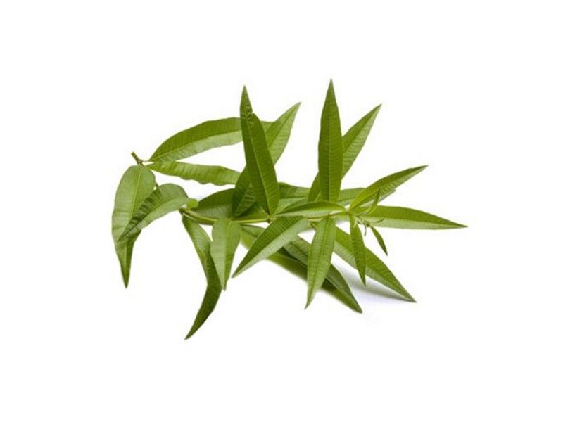 Arome Lemon Verbena 30ml