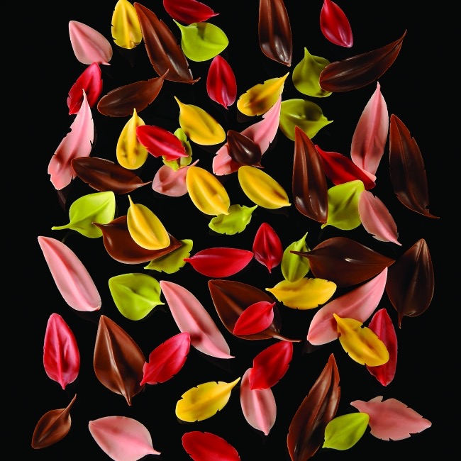 Pavoni Flychoc small tool 30x40mm - Image 2