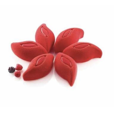 Ruben Silikomart Mould Makes 6