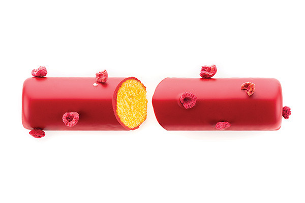 Rome Travel Cake Silikomart 230x55 h50mm