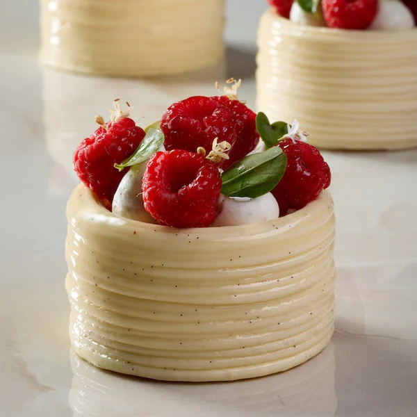 Pavoni Linear Mould Antonio Bachour Makes 12